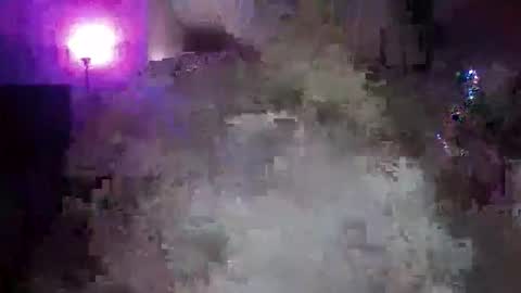 transgirl005 online show from November 10, 10:03 am