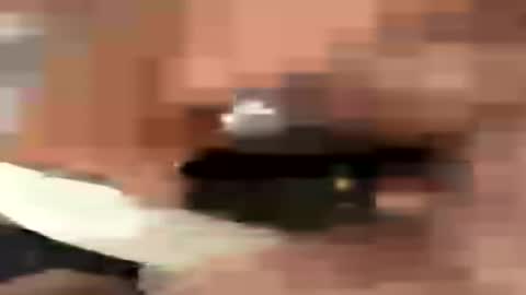 Travismiller online show from July 27, 9:33 pm