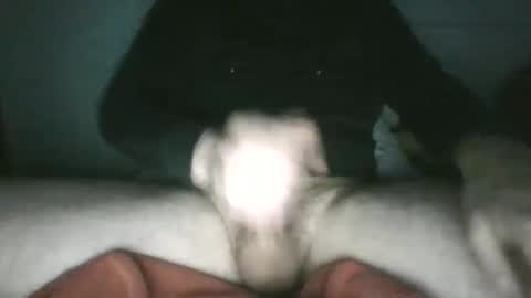 Snapshot of trekkertje666 chatting on January 25, 8:00 am trekkertje666 online show from January 25, 8:00 am