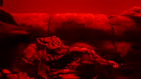 Snapshot of tretrix5588 chatting on January 11, 10:51 am tretrix5588 online show from January 11, 10:51 am