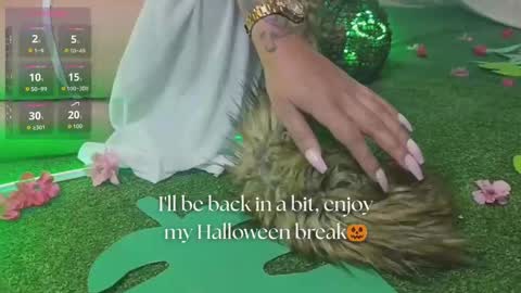   online show from October 29, 11:45 am