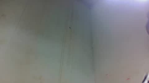 tsaralaza online show from November 6, 2:45 am