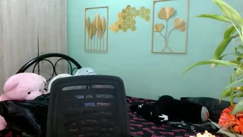 Snapshot of tsempress chatting on November 3, 6:25 am SHENA online show from November 3, 6:25 am