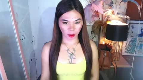 tsnovy online show from December 13, 7:15 am