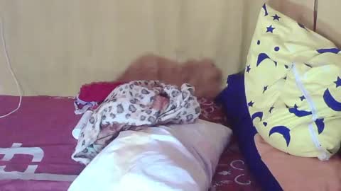 carmella online show from October 11, 2:00 am