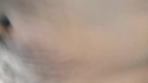 Snapshot of ttimmyt chatting on November 8, 8:07 pm ttimmyt online show from November 8, 8:07 pm