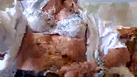 Snapshot of tubaist chatting on September 9, 12:59 pm FINN but call me NANNA online show from September 9, 12:59 pm