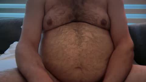 Bi Bear Delight online show from May 24, 4:17 am