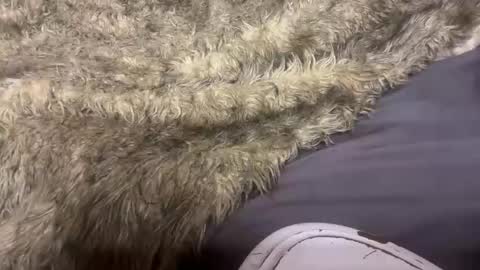 turntpixie online show from March 7, 4:31 am