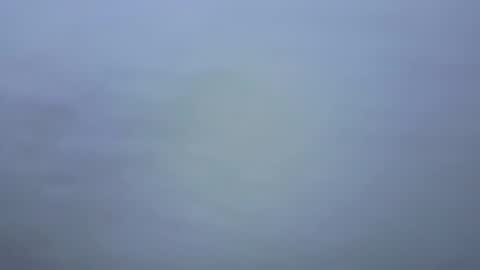 Ariana online show from January 9, 7:04 pm