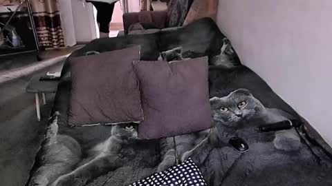 Lana online show from November 17, 7:36 am