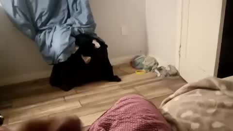 Snapshot of twest84 chatting on September 14, 8:46 am twest84 online show from September 14, 8:46 am