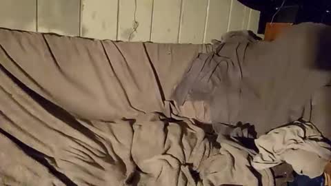 Snapshot of twistedblizzy chatting on January 22, 6:20 pm TwistedBlizzy online show from January 22, 6:20 pm