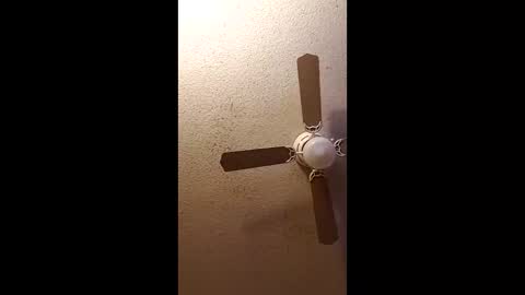 Snapshot of twosometeasesdarksexualkingdom chatting on February 27, 11:32 am twosometeasesdarksexualkingdom online show from February 27, 11:32 am