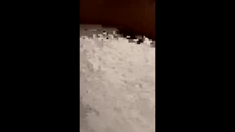 txcouple281 online show from November 16, 8:53 am