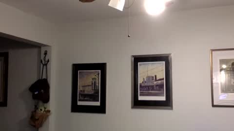 Tyler Durden online show from February 14, 2:07 am