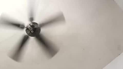 Snapshot of tylertor1984 chatting on October 19, 5:35 pm Aldo rasid online show from October 19, 5:35 pm