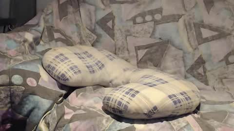 Helena and Tyson online show from November 9, 4:11 am