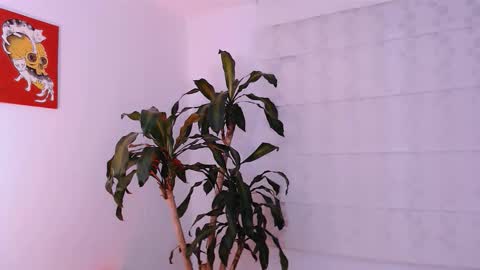 Martina online show from October 11, 1:49 am