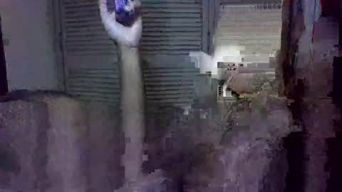 uncut2506 online show from March 20, 7:13 am