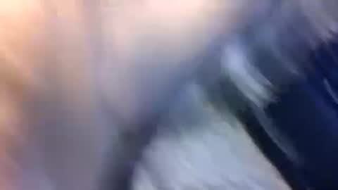 uncut7half237495 online show from October 17, 3:42 am