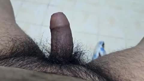 Snapshot of uncuttool3000 chatting on November 25, 3:56 pm uncuttool3000 online show from November 25, 3:56 pm