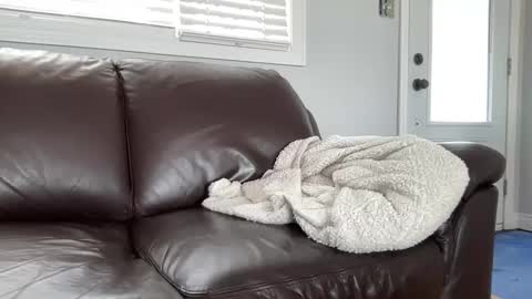 Snapshot of ungerisland chatting on March 9, 7:26 pm ungerisland online show from March 9, 7:26 pm