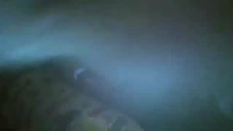 Snapshot of unicorn765vcxv chatting on June 21, 1:41 am unicorn765vcxv online show from June 21, 1:41 am