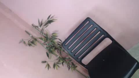 unknown_trans18 online show from April 5, 11:24 pm