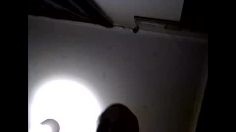 uplatenhorny2379 online show from September 27, 5:34 am