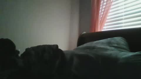 UrbanDicc online show from January 12, 1:58 pm