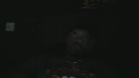 UrbanDicc online show from January 27, 1:26 am