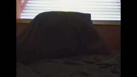 UrbanDicc online show from January 29, 10:32 pm