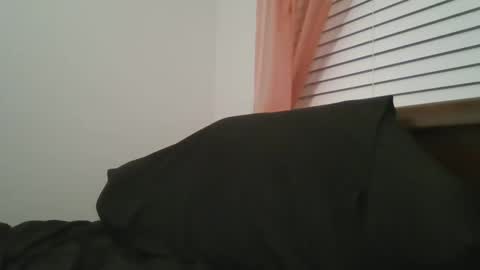 UrbanDicc online show from February 1, 2:16 am