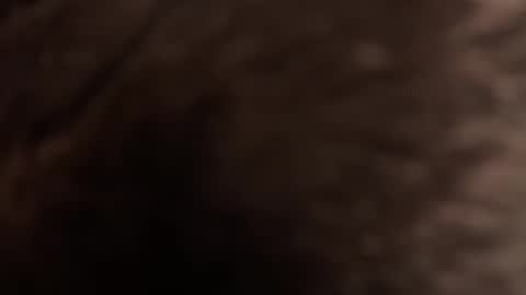 Snapshot of urmissalice chatting on February 22, 3:21 pm urmissalice online show from February 22, 3:21 pm