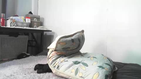 Rbabes online show from February 3, 9:03 am