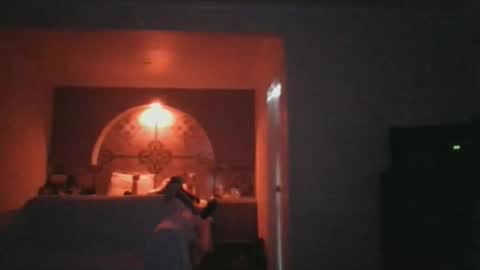 us24u888 online show from November 16, 8:42 am