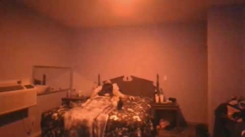 us24u888 online show from November 21, 2:21 am