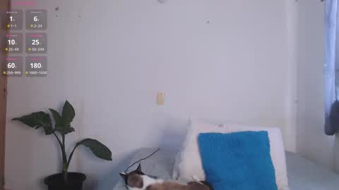 IG-valen mendoza99  twitter valenthompson99 online show from April 11, 1:04 pm