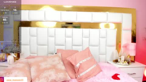 vane_manson online show from December 27, 4:21 pm