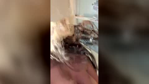 vanessareed_ online show from May 4, 9:33 pm