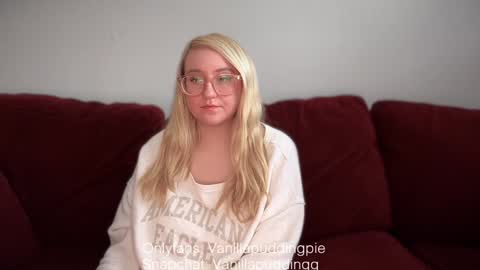 Snapshot of vanillapuddingpie chatting on December 5, 7:49 pm vanillapuddingpie online show from December 5, 7:49 pm