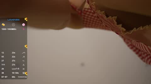 Snapshot of vasillisa chatting on February 8, 10:51 am Vasilisa online show from February 8, 10:51 am