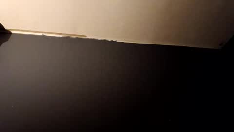 vegeto222 online show from November 23, 2:39 pm