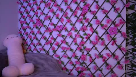 Polly online show from November 7, 6:19 pm