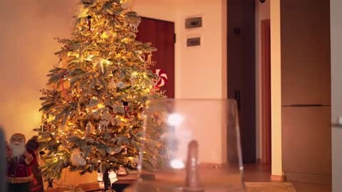 Adalline online show from December 5, 1:17 pm