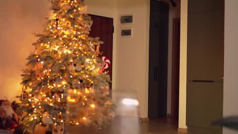 Adalline online show from December 10, 7:54 pm