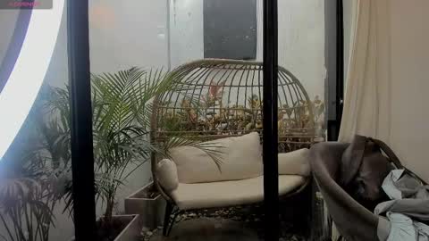 VENUS online show from January 11, 2:22 pm