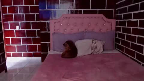 emily independent account  MY conextion 1100 GTM  to  17hr GTM online show from March 8, 10:34 pm