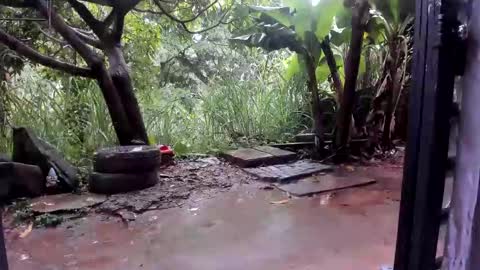 Snapshot of venusandzeus chatting on October 27, 1:37 pm venus ... zeus sheer online show from October 27, 1:37 pm